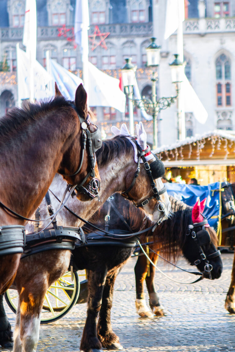 Bruges Winter Glow & Christmas Market 2024 Dates, Hotels & More