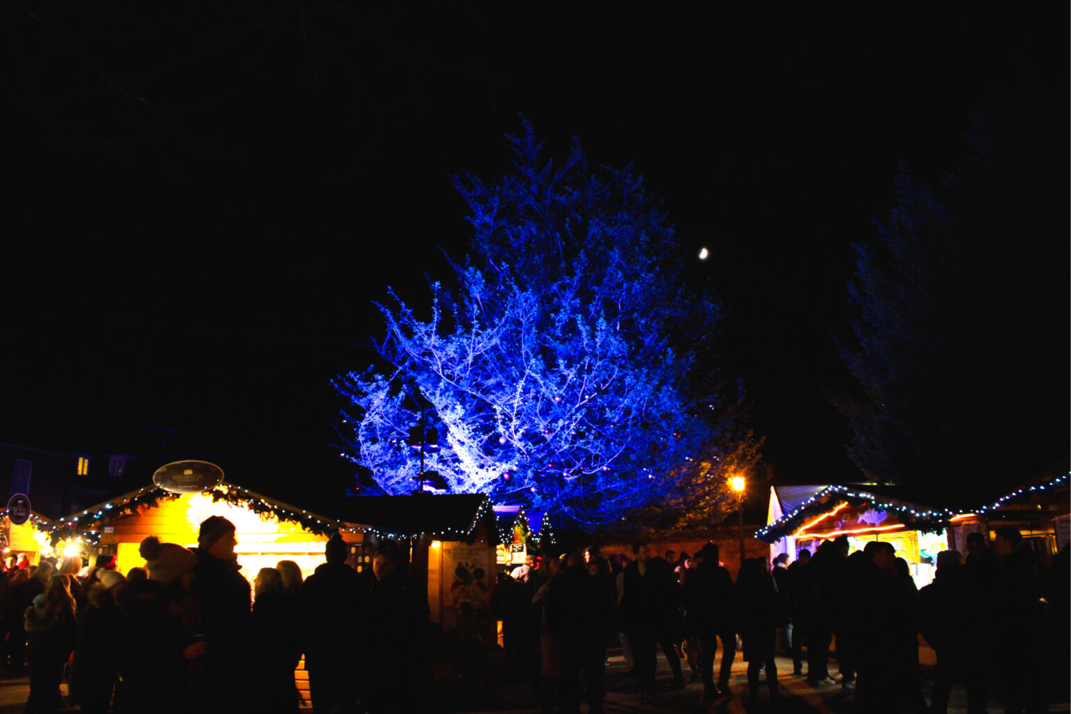 Winchester Cathedral Christmas Market 2024 Dates, Hotels & More