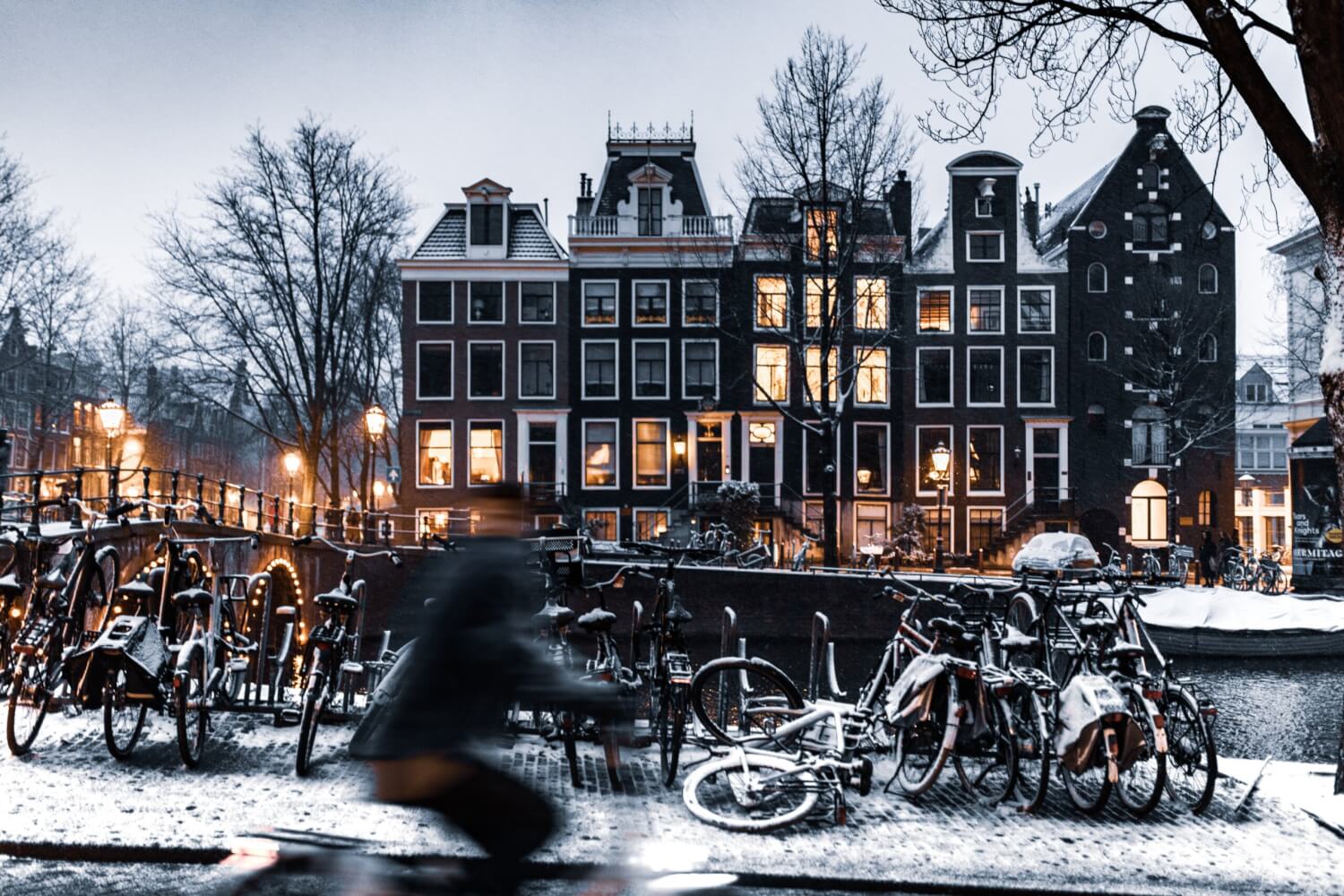 visit amsterdam at christmas