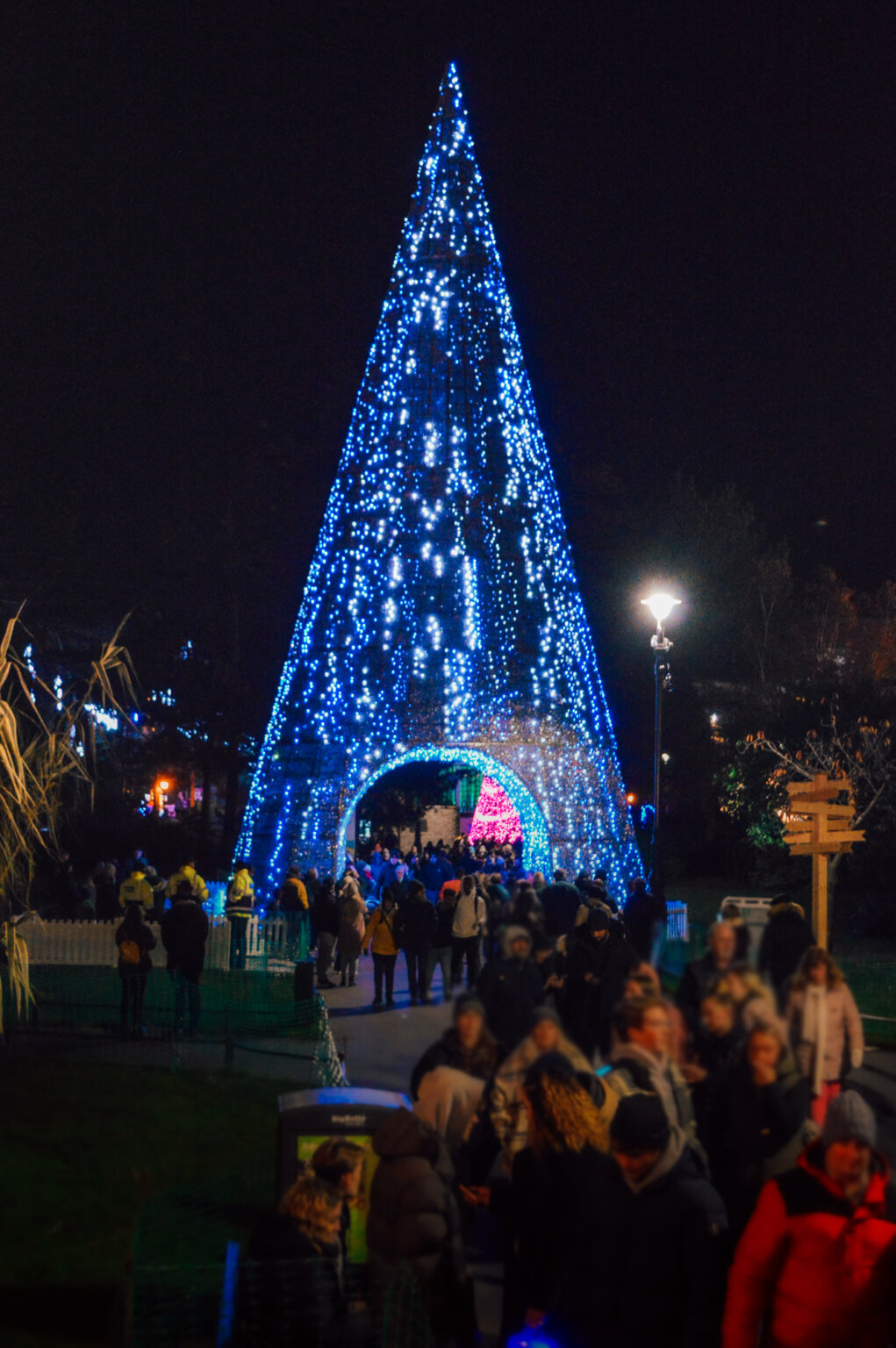 Bournemouth Christmas (Alpine) Market & Christmas Tree Wonderland 2024