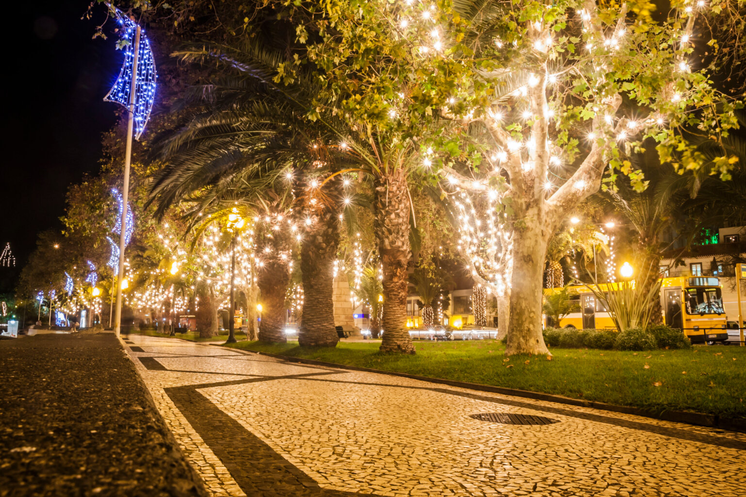 Funchal Christmas Market 2024 Dates, Locations & MustKnows
