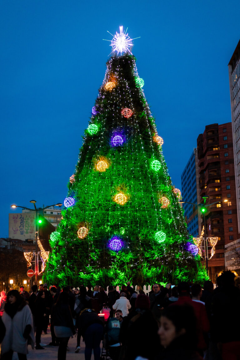 Toulouse Christmas Market 2024 Dates, Locations & MustKnows